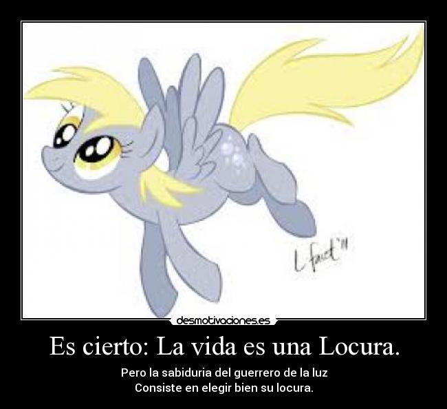 carteles vida locura derpy hooves sabiduria locura desmotivaciones