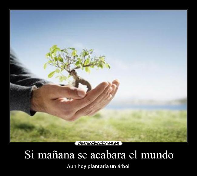 Si mañana se acabara el mundo - Aun hoy plantaría un árbol.