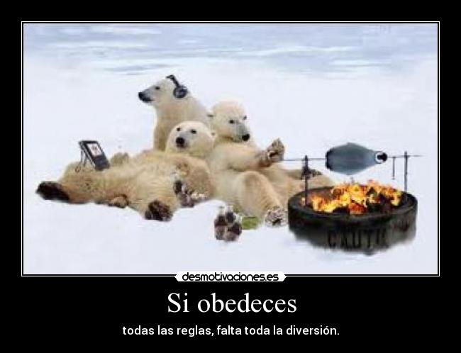 Si obedeces - todas las reglas, falta toda la diversión.