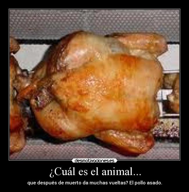 ¿Cuál es el animal... - 