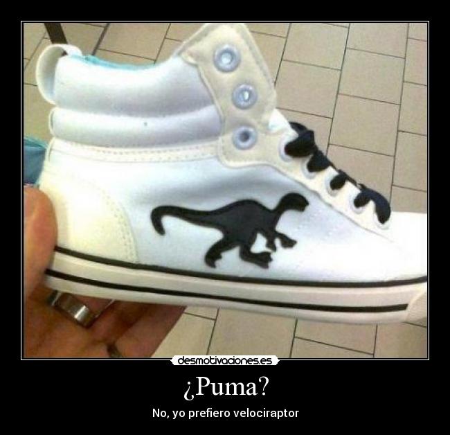 ¿Puma? - No, yo prefiero velociraptor