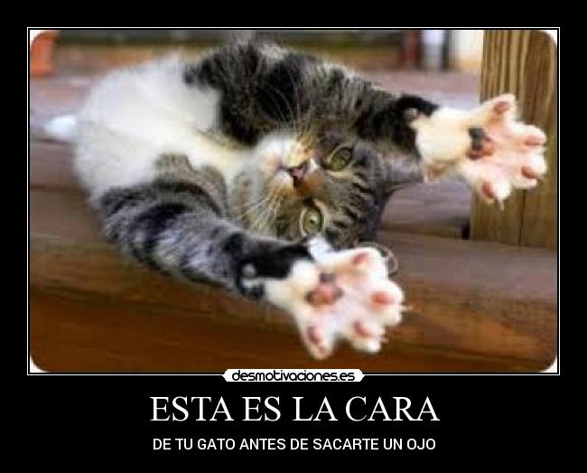 ESTA ES LA CARA -