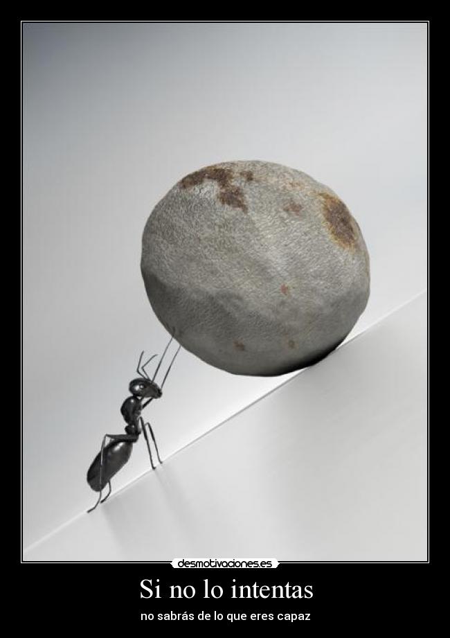 Si no lo intentas - 