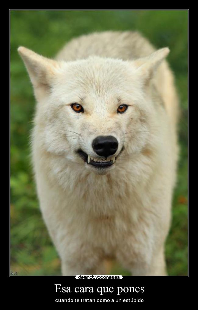 Esa cara que pones -