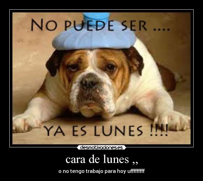 cara de lunes ,, - o no tengo trabajo para hoy ufffffffff