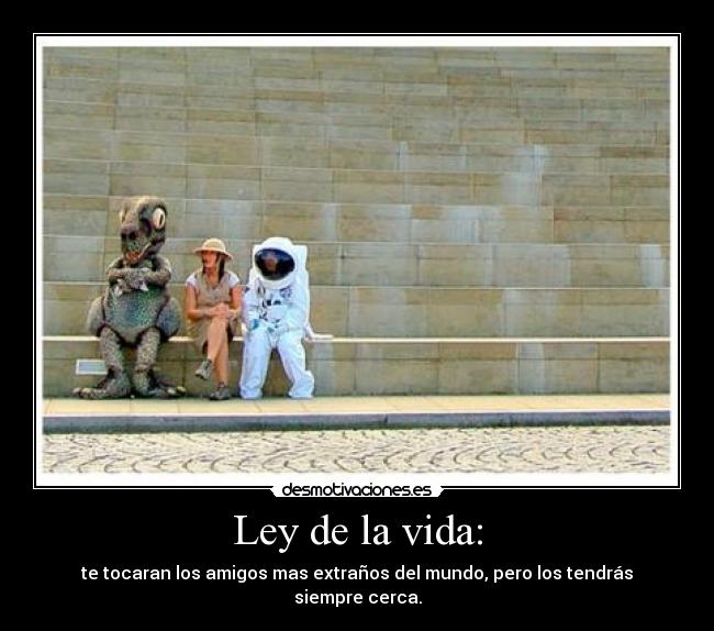 Ley de la vida: - te tocaran los amigos mas extraños del mundo, pero los tendrás siempre cerca.