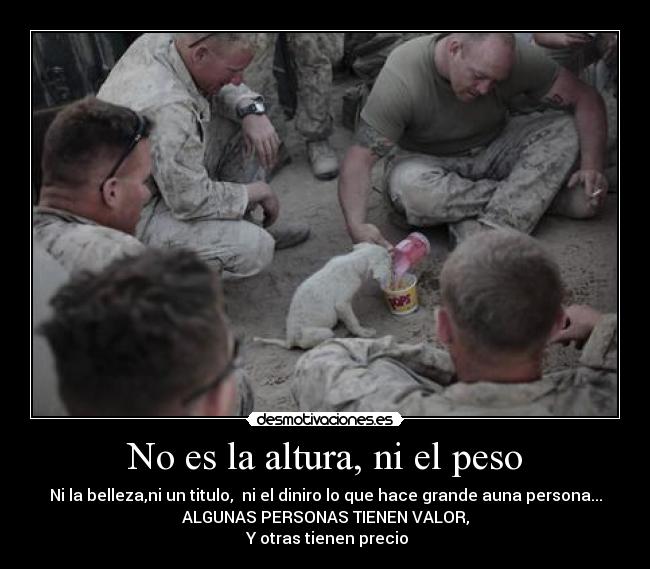 No es la altura, ni el peso - Ni la belleza,ni un titulo, ni el diniro lo que hace grande auna persona...
ALGUNAS PERSONAS TIENEN VALOR,
Y otras tienen precio