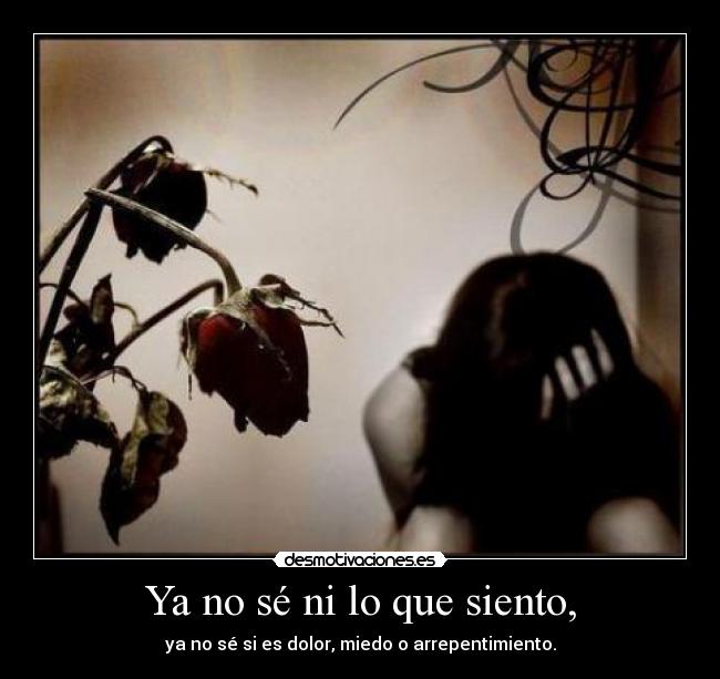Ya no sé ni lo que siento, - ya no sé si es dolor, miedo o arrepentimiento.