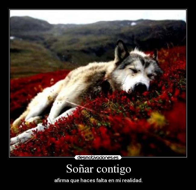 Soñar contigo - afirma que haces falta en mi realidad.