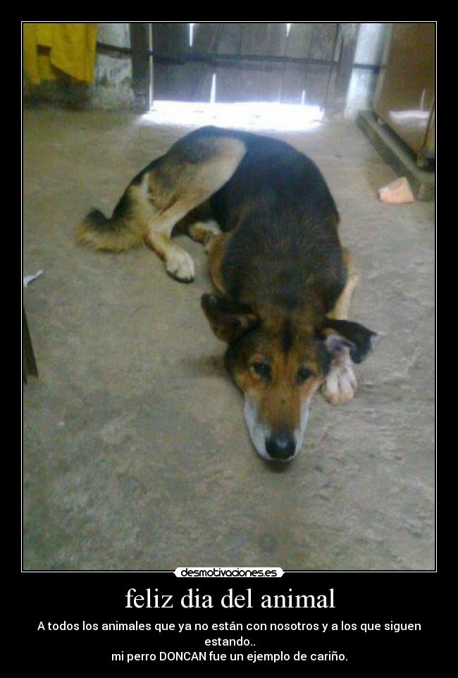 feliz dia del animal -