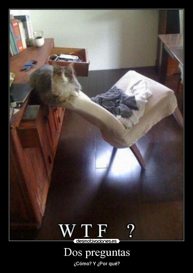 carteles gato intruders crazyclub clanreyleon suele pasar entenderan xddddddd desmotivaciones