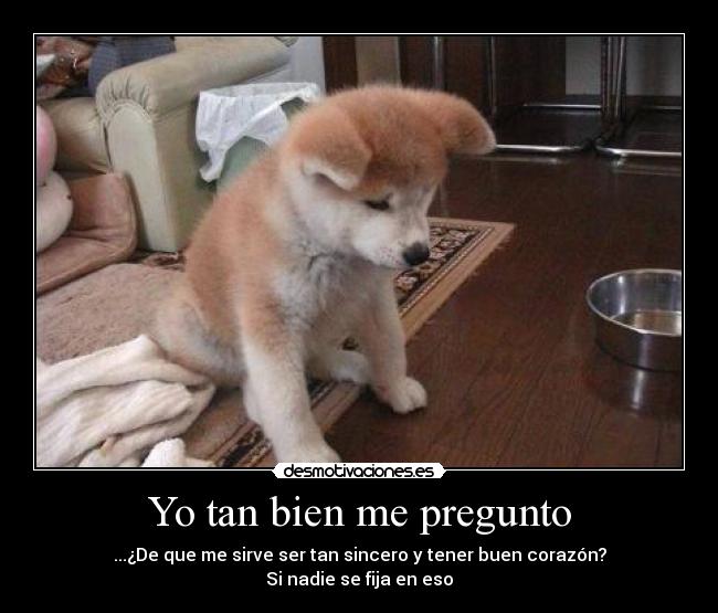 carteles tan bien pregunto desmotivaciones