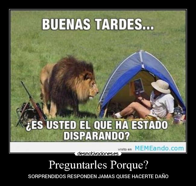 Preguntarles Porque? - SORPRENDIDOS RESPONDEN JAMAS QUISE HACERTE DAÑO