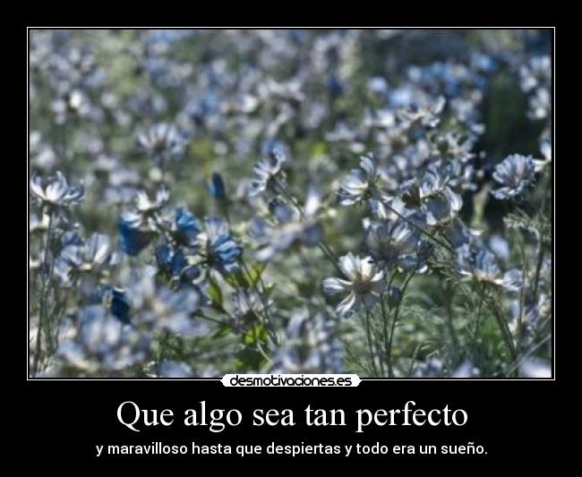 Que algo sea tan perfecto -