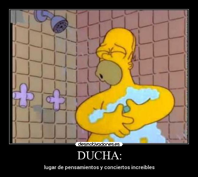 DUCHA: -