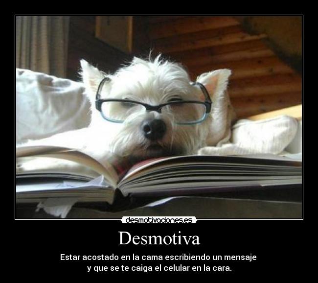 Desmotiva - Estar acostado en la cama escribiendo un mensaje
y que se te caiga el celular en la cara.