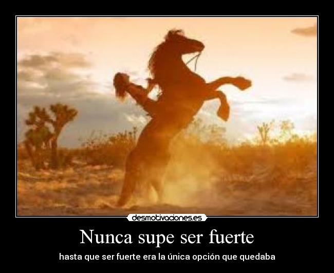 Nunca supe ser fuerte - hasta que ser fuerte era la única opción que quedaba