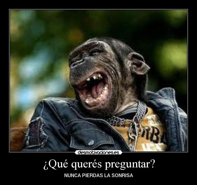 ¿Qué querés preguntar? - 