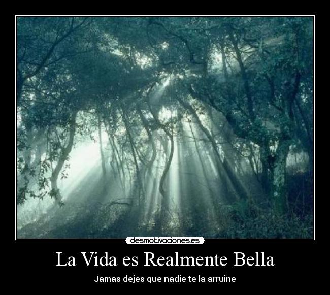 carteles vida anime motivacion diema desmotivaciones