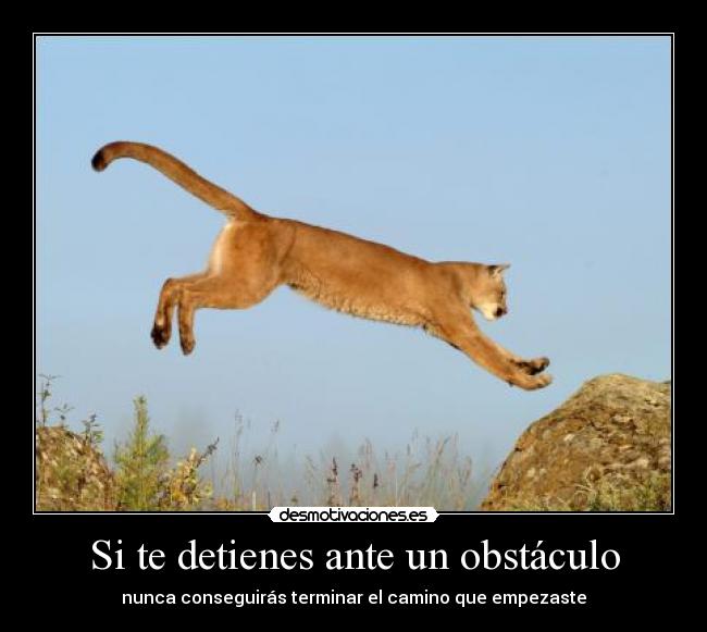 Si te detienes ante un obstáculo -