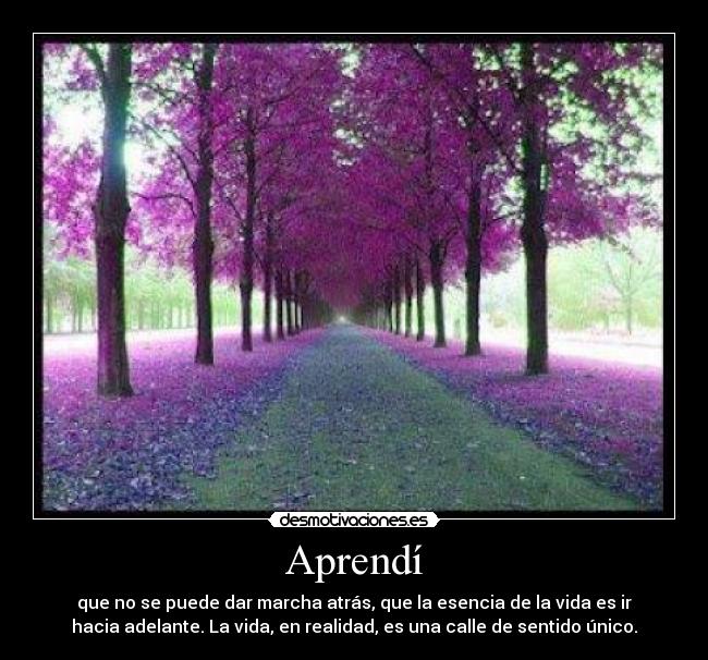 Aprendí - que no se puede dar marcha atrás, que la esencia de la vida es ir
hacia adelante. La vida, en realidad, es una calle de sentido único.