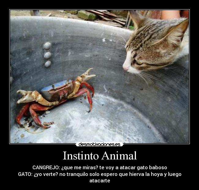 Instinto Animal -