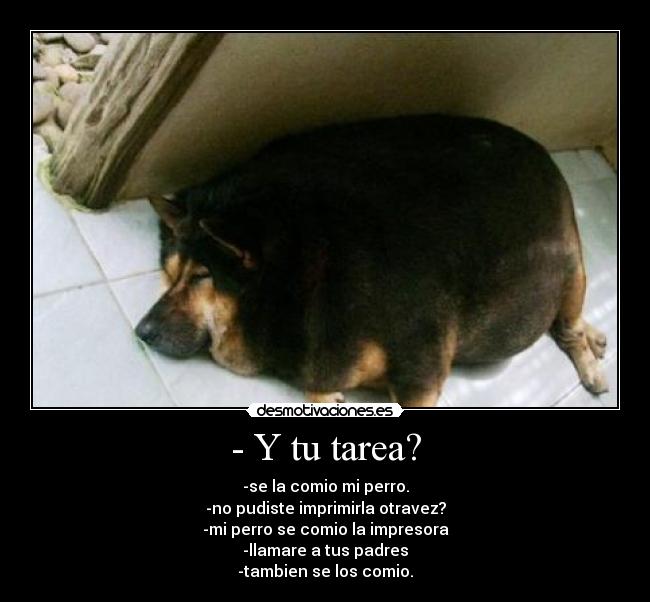 - Y tu tarea? -