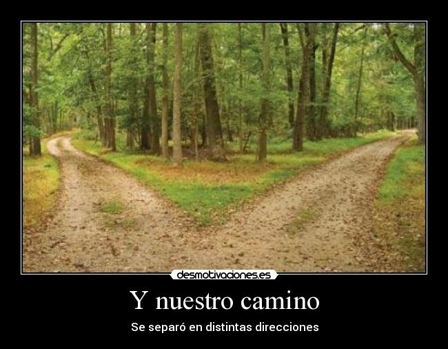 Y nuestro camino - Se separó en distintas direcciones
