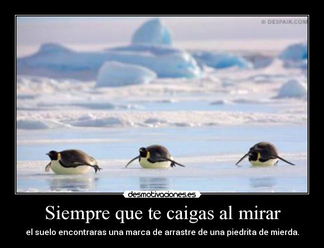 Siempre que te caigas al mirar - el suelo encontraras una marca de arrastre de una piedrita de mierda.