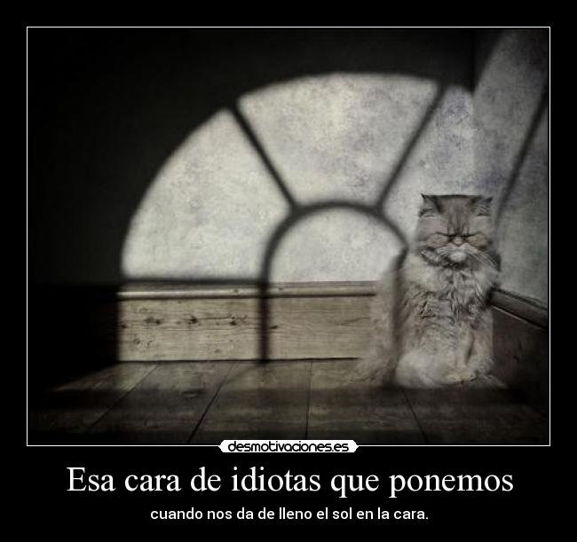 Esa cara de idiotas que ponemos - cuando nos da de lleno el sol en la cara.