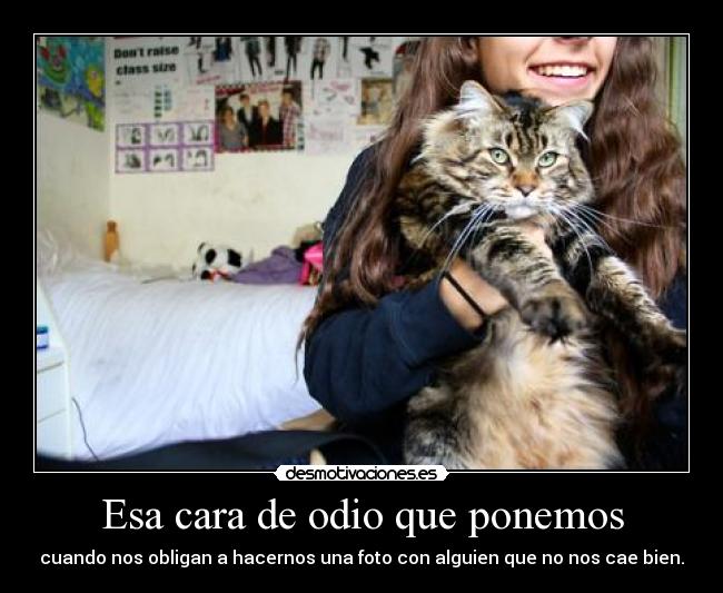 Esa cara de odio que ponemos -