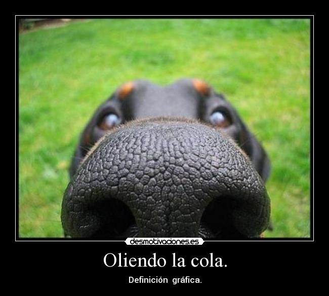 Oliendo la cola. - 