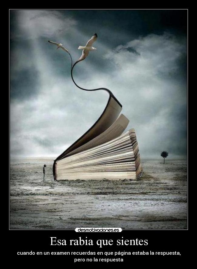 Esa rabia que sientes - 