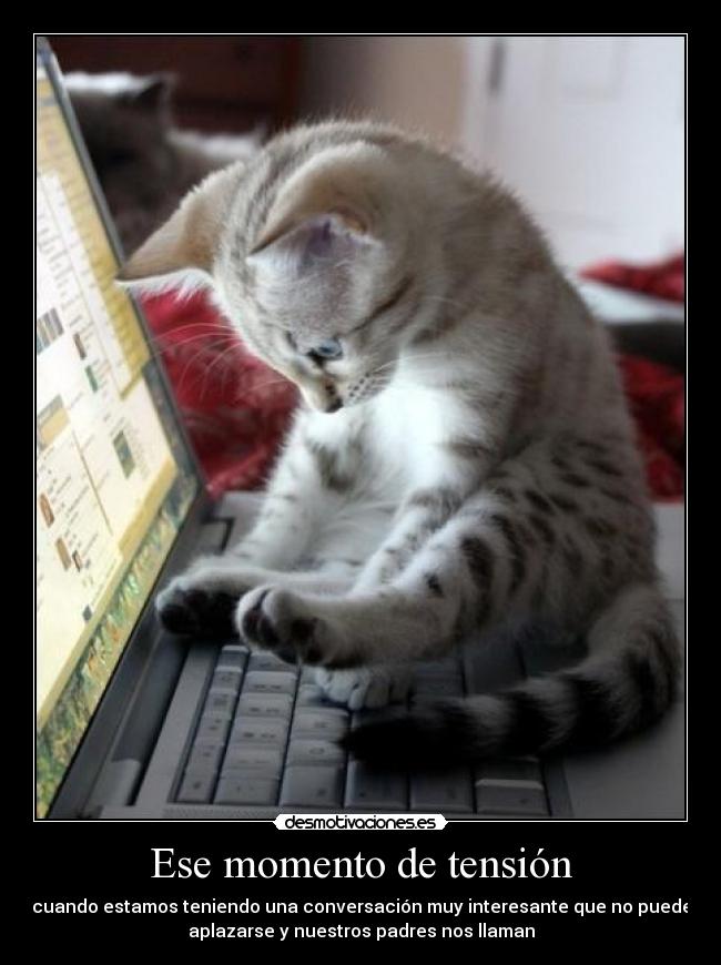 Ese momento de tensión - cuando estamos teniendo una conversación muy interesante que no puede
aplazarse y nuestros padres nos llaman