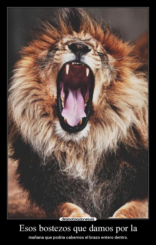Esos bostezos que damos por la -