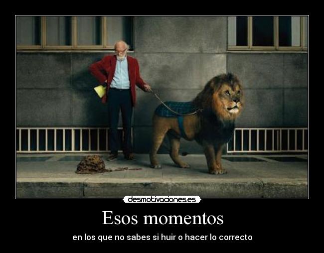 Esos momentos - 