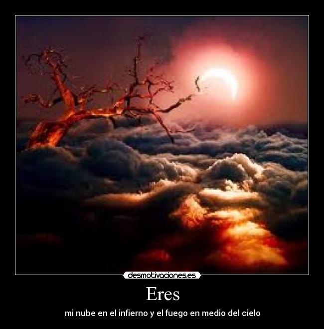 carteles vida loca loca loca quiero flan desmotivaciones