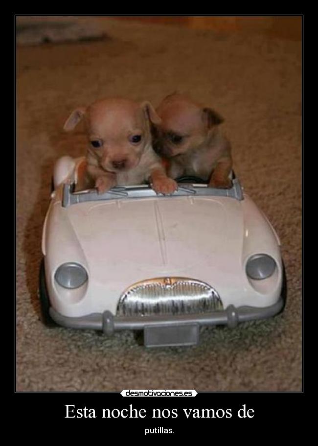 Esta noche nos vamos de - putillas.