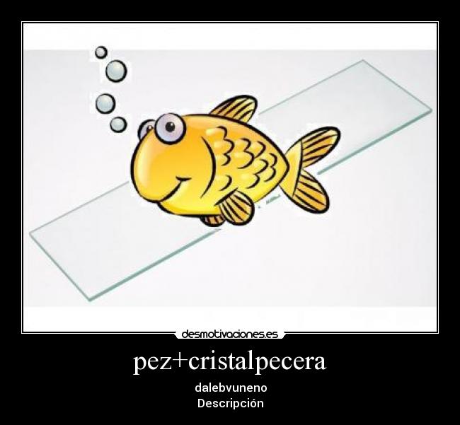 pez+cristalpecera - dalebvuneno
Descripción