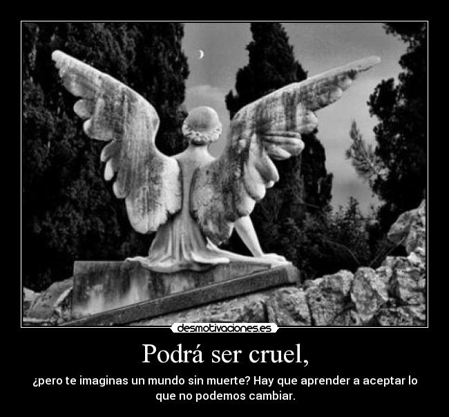 Podrá ser cruel, - ¿pero te imaginas un mundo sin muerte? Hay que aprender a aceptar lo
que no podemos cambiar.