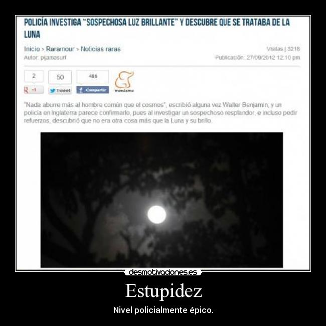 Estupidez -