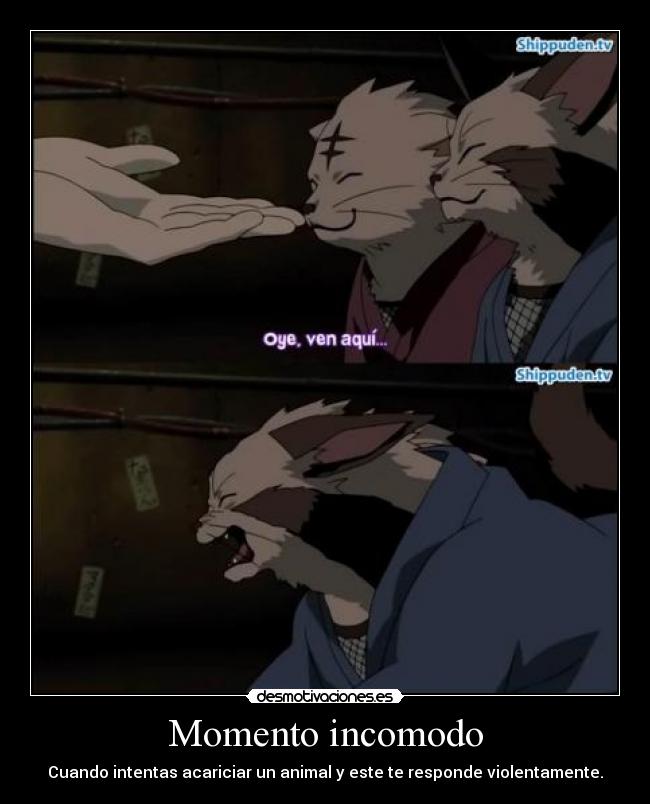 Momento incomodo - Cuando intentas acariciar un animal y este te responde violentamente.