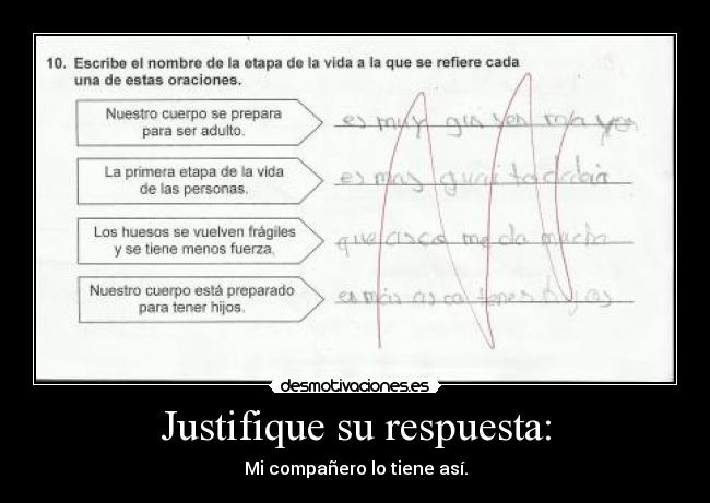 Justifique su respuesta: - Mi compañero lo tiene así.