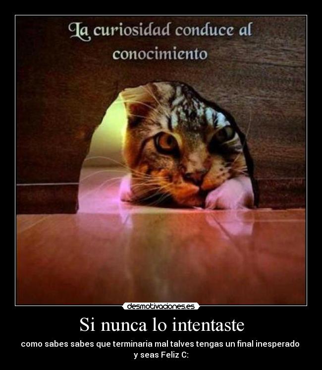 Si nunca lo intentaste - como sabes sabes que terminaria mal talves tengas un final inesperado
y seas Feliz C: