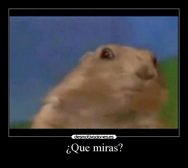 ¿Que miras? -
