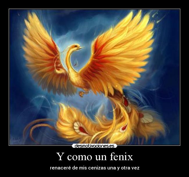 Y como un fenix - 