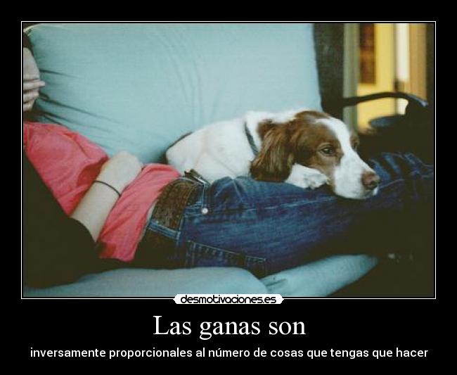 carteles aburro subo cartel perro sobre human leg amazing desmotivaciones