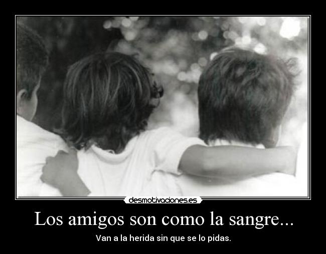 Los amigos son como la sangre... - Van a la herida sin que se lo pidas.