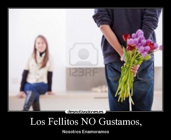Los Fellitos NO Gustamos, - 