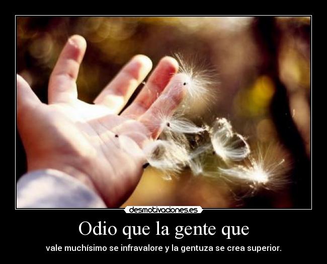 carteles odio sabes desmotivaciones